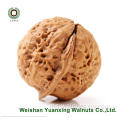 Harga kilang kompetitif walnut kernel keping